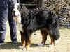 PICT0758.jpg (109215 byte)