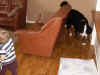 PICT0772.jpg (49105 byte)