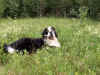 PICT1076.jpg (137775 byte)