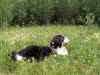 PICT1077.jpg (134849 byte)