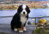Kasper.jpg (103856 byte)