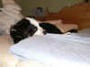 PICT0025.jpg (37101 byte)