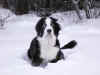 PICT0033.jpg (50201 byte)