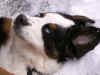 PICT0220.jpg (47900 byte)