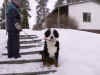 PICT0279.jpg (60768 byte)
