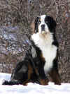 PICT0383.jpg (115769 byte)