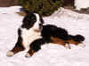 PICT0450.jpg (57914 byte)