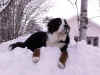 PICT0573.jpg (76466 byte)