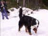 PICT0612.jpg (59121 byte)